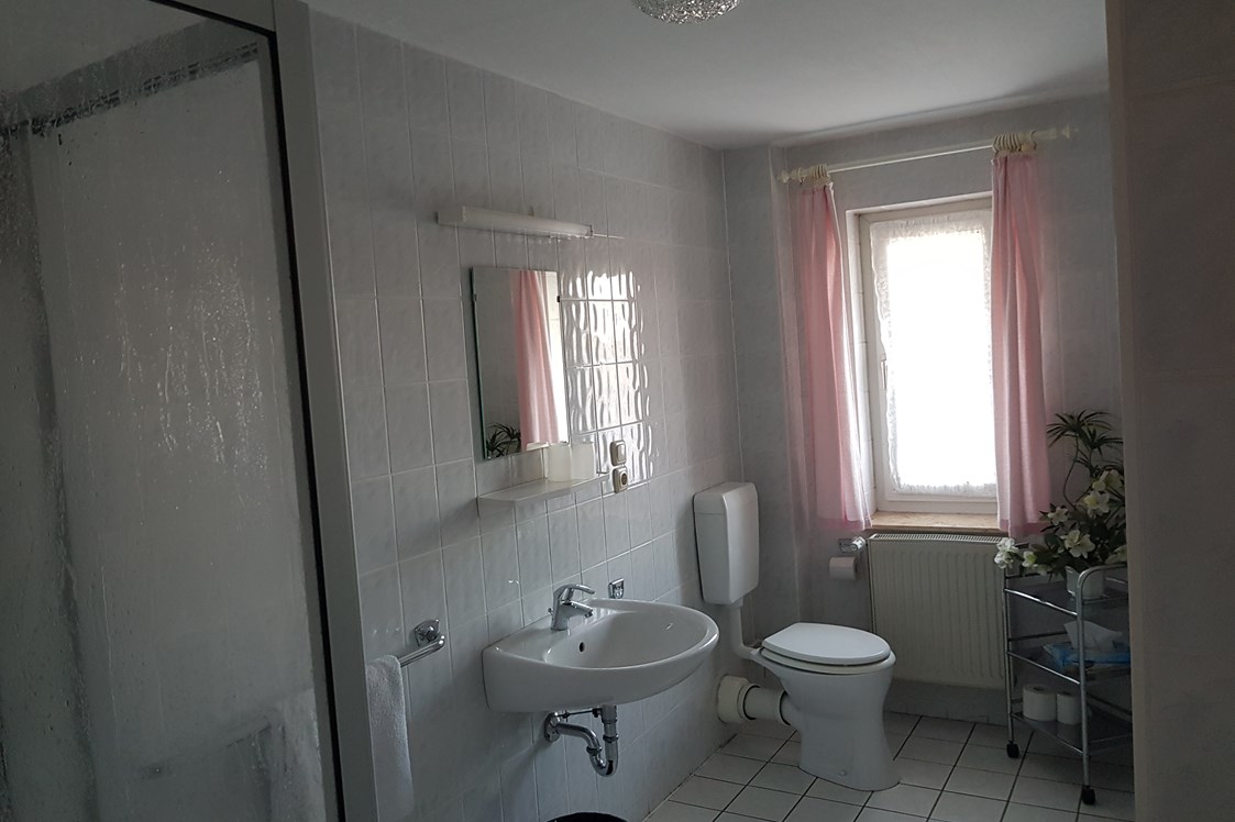 Monteurzimmer: jedes Zimmer hat ein eigenes Duschbad/WC - Pension Wendland