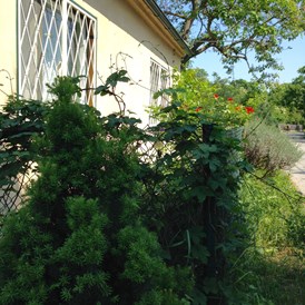 Monteurzimmer: LenAs Gartenwohnung mit Blick in den Auwald - LenAs Gartenwohnung