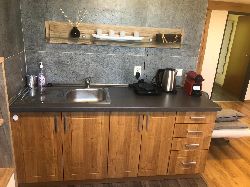 Monteurwohnung - Kühlschrank - Region Olmütz - Fewo Olomouc Statek