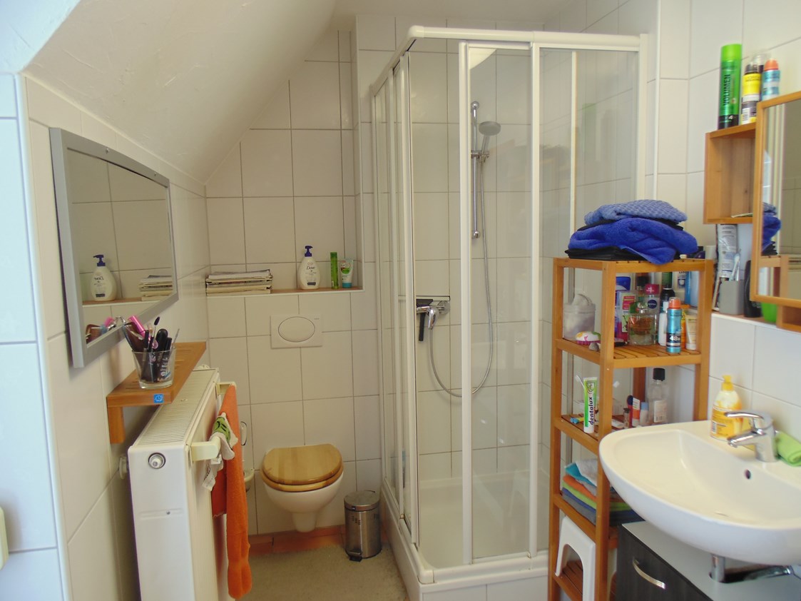 Monteurzimmer: Das große Bad mit gemeinsam genutzter Dusche - Stadt- und autobahnnahes Zimmer für Drei