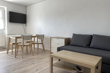 Monteurzimmer: Wohnzimmer - Moderne Monteurwohnung mit Balkon (SAD151)