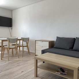 Monteurzimmer: Wohnzimmer - Moderne Monteurwohnung mit Balkon (SAD151)