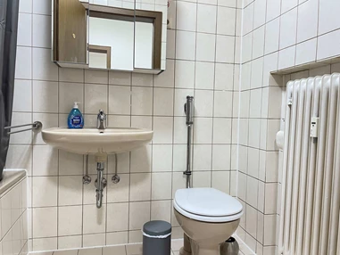 Monteurzimmer: Badezimmer - Gut geschnittene Monteurwohnung mit Balkon (SAD161)