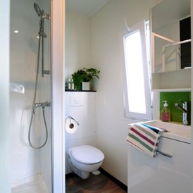 Monteurzimmer: Badezimmer - Modernes Mobilheim mit Fass-Sauna und Whirlpool (WA104)