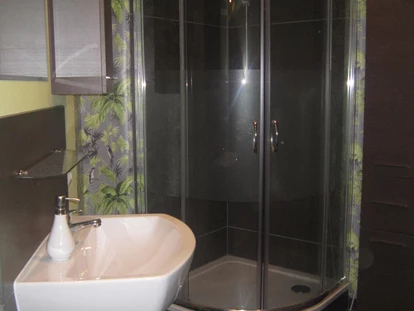 Monteurwohnung - TV - Oberlausitz - Badezimmer mit Dusche - FeWo Am Heidrian