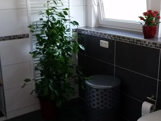 Monteurzimmer: WC Bad Wohnung DG - Ferienwohnung Hahn in Fulda