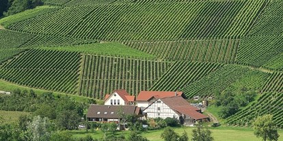 Monteurwohnung - TV - Hardthausen am Kocher - Weingut Keil