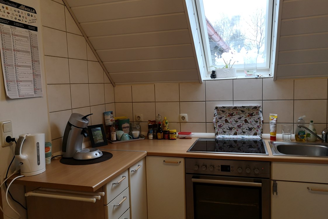 Monteurzimmer: Küche  - Blick ins Grüne 