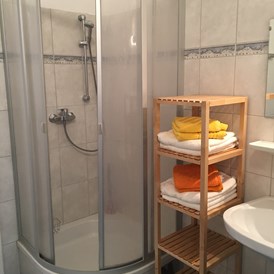 Monteurwohnung: Badezimmer mit Dusche - Monteurwohnung Linz Zentrum