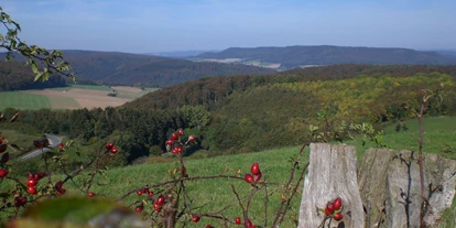 Monteurwohnung - PLZ 31860 (Deutschland) - Blick ins Weserbergland - Ferienwohnung "Am Mönkeberg" in Emmerthal