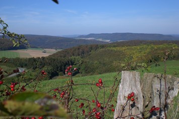 Monteurzimmer: Blick ins Weserbergland - Ferienwohnung "Am Mönkeberg" in Emmerthal