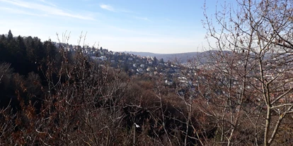 Monteurwohnung - PLZ 71282 (Deutschland) - Apartment Zimmer in Süd / Degerloch