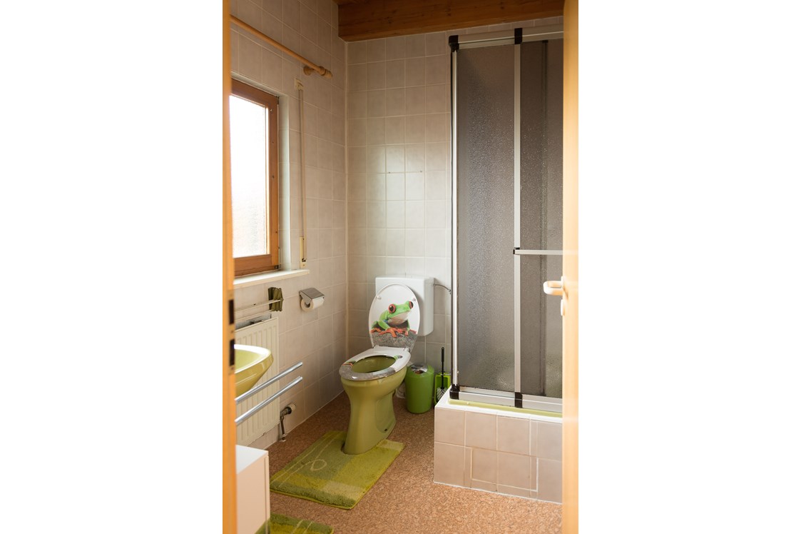 Monteurzimmer: Badezimmer mit Dusche und WC - Haus Feldblick Neubulach