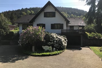 Monteurzimmer: Ferienwohnung Seerose Bad Wildbad i. Schwarzwald
