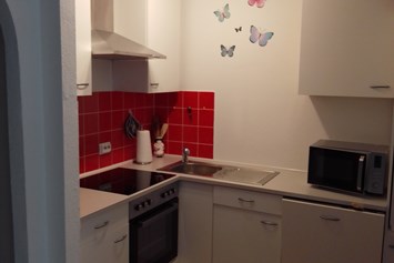 Monteurzimmer: Küche mit Elektroherd, Backofen, Wasserkocher, Kaffeemaschine ( Pads) - Schwarzwald Anna-Lena