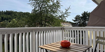 Monteurwohnung - Zimmertyp: Mehrbettzimmer - Rieden (Amberg-Sulzbach) - Balkon - Kleine Monteurwohnung mit Balkon (SAD153)