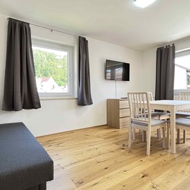 Monteurzimmer: Küche, Wohnbereich - Moderne Monteurwohnung mit Balkon (SAD154)