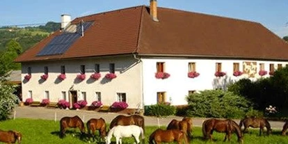 Monteurwohnung - Parkplatz: eigener Parkplatz vorhanden - Österreich - Kronawetterhof