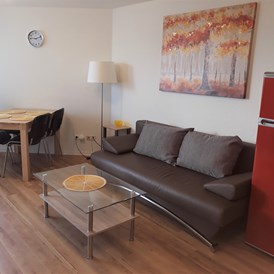 Monteurzimmer: Wohnzimmer mit dem Schlafcouch - gemütliche moderne Wohnung / Monteurzimmer Nähe Heidelberg