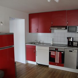 Monteurzimmer: Küche - gemütliche moderne Wohnung / Monteurzimmer Nähe Heidelberg