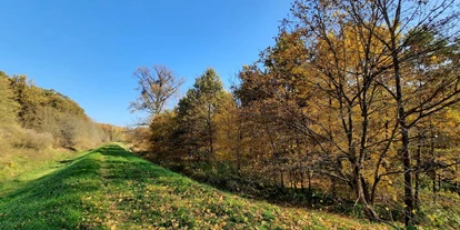 Monteurwohnung - WLAN - Südmährische Region - Haus Knezpole