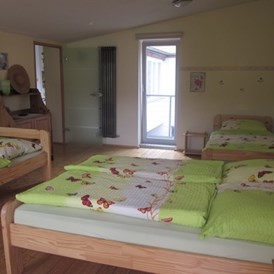 Monteurzimmer: Atelier: 3 - 4 Personen im seperatem Schlafzimmer mit Dachterrasse - Pension f5