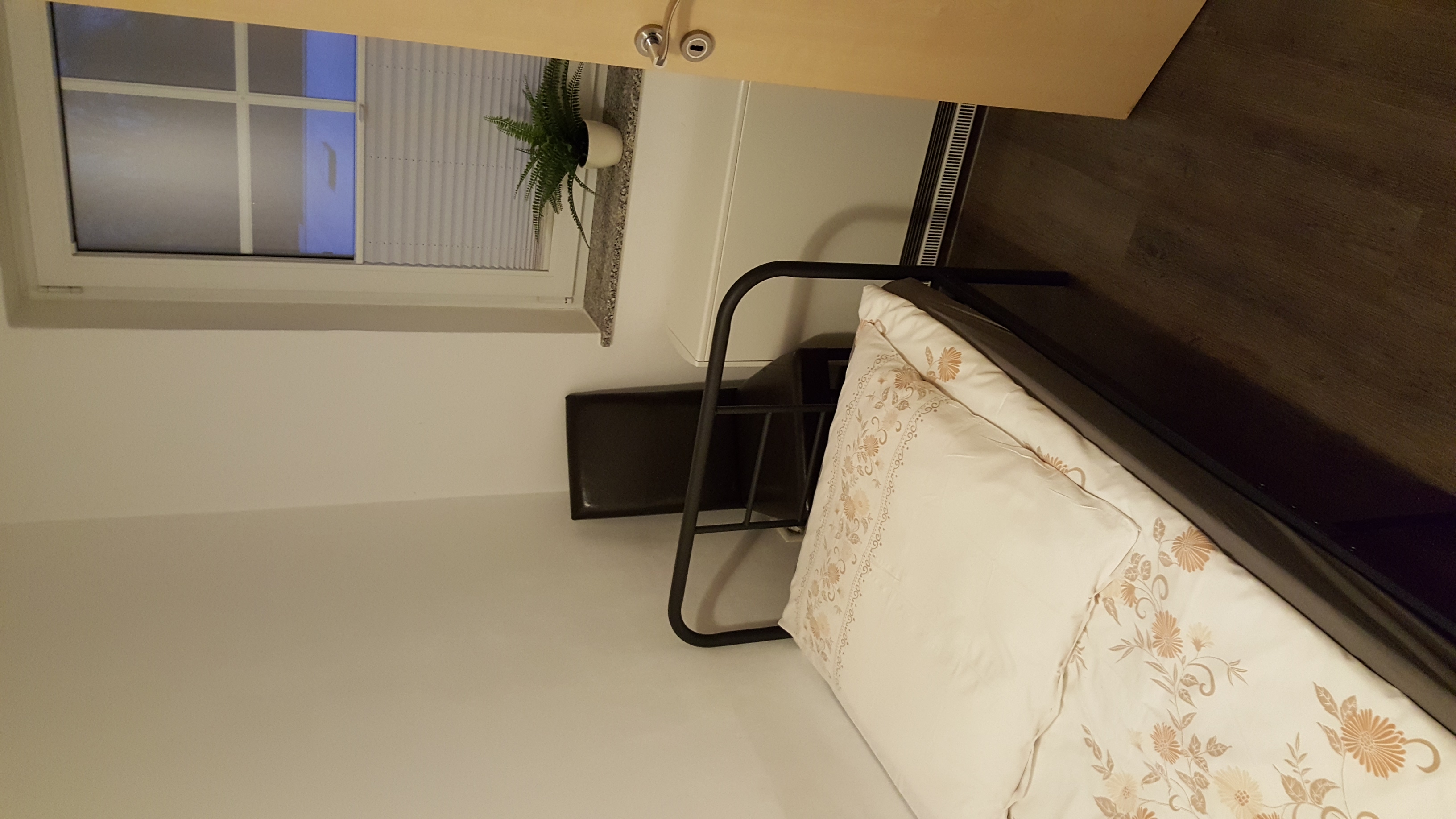 Monteurwohnung - TV - Oberlausitz - Haus Grünstraße 