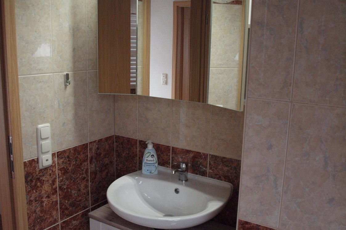 Monteurzimmer: Spiegelschrank und Waschbecken - Ferienwohnung Rennsteigoase Rosenthal