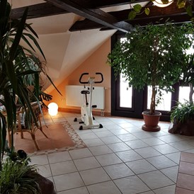 Monteurzimmer: Wintergarten (dazu buchbar zu relaxen) - Ferienwohnung Rennsteigoase Rosenthal