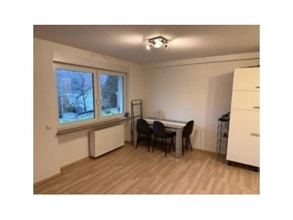 Monteurwohnung - TV - Deutschland - Pension Eisingen