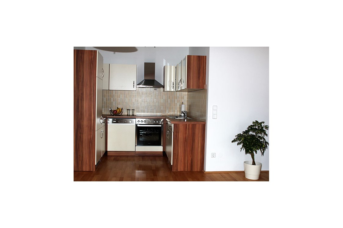 Monteurzimmer: Küche - Ferienwohnung-Appartment in Klagenfurt