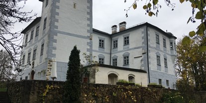 Monteurwohnung - Kühlschrank - Kipfenberg - Schloss Hofstetten