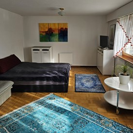 Monteurzimmer: Wohn-Schlaf-Aufenthaltsbereich - Open House