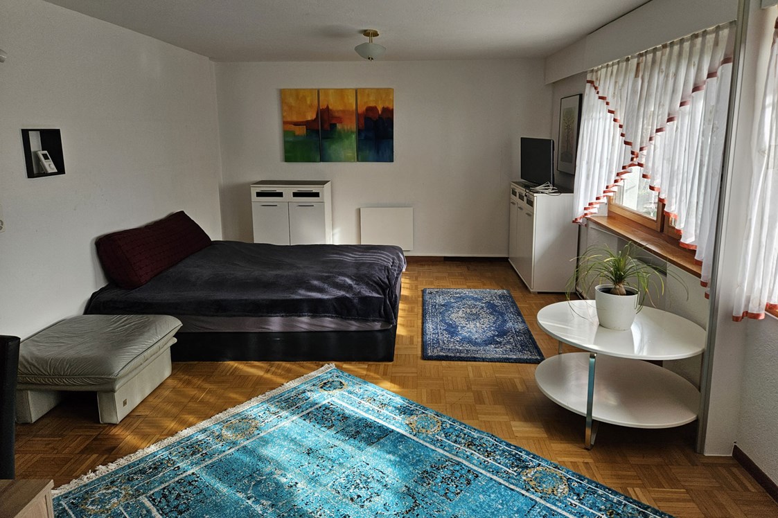 Monteurzimmer: Wohn-Schlaf-Aufenthaltsbereich - Open House