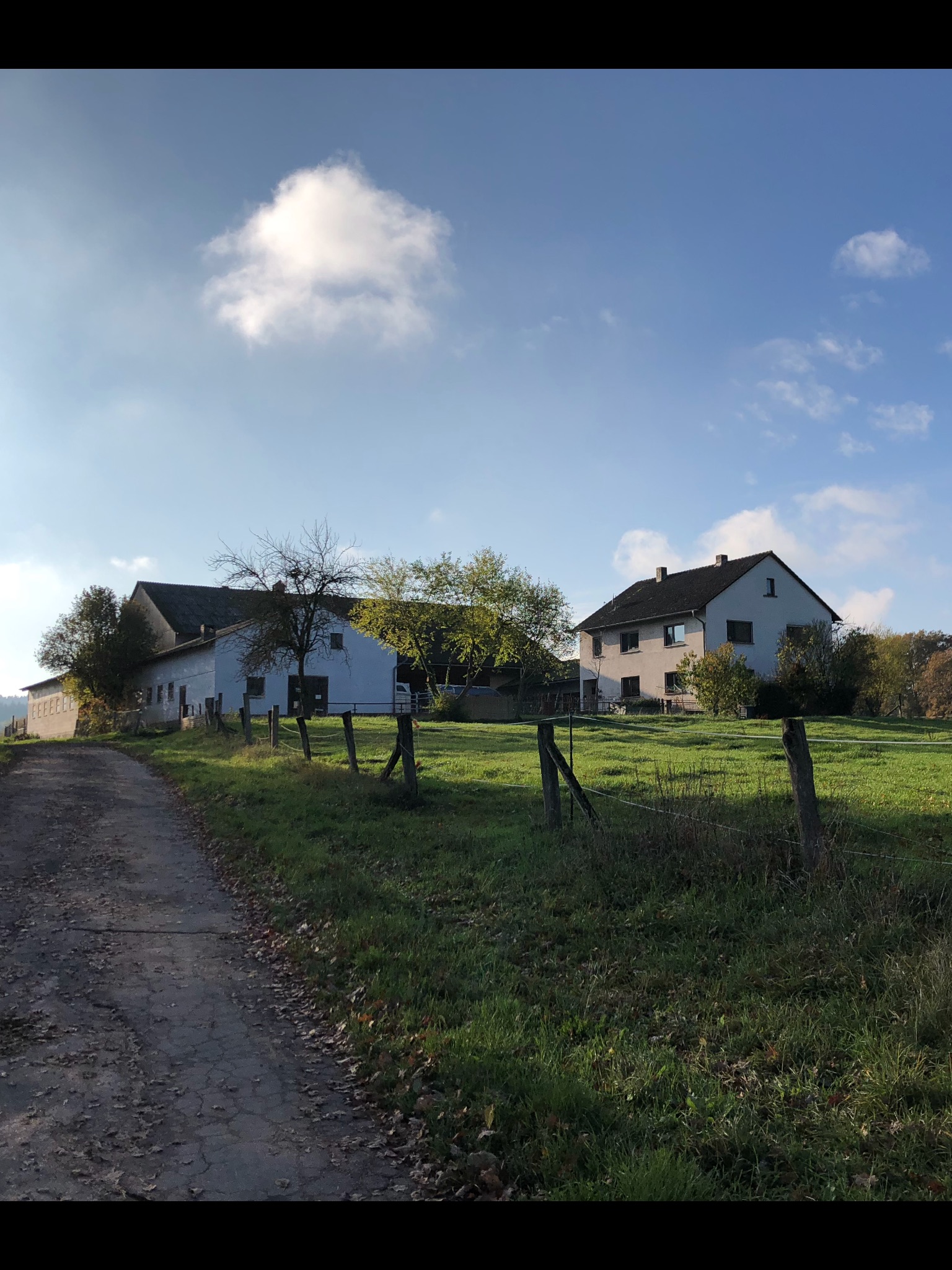Monteurwohnung - Zimmertyp: Mehrbettzimmer - Hessen - Monteurwohnung zu vermieten