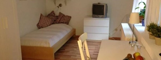 Monteurzimmer: schöne günstige vollmöblierte Wohnung für 5 Personen, ab 10 Euro pro Nacht - Plauen Zentrum