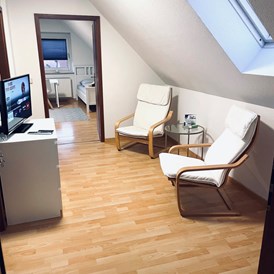 Monteurzimmer: Lounge - Dachnest City Apartment