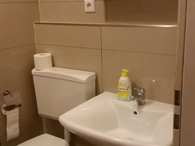 Monteurwohnung: Toilette, Waschbecken und Spiegel im Badezimmer - Monteurwohnung Rastatt