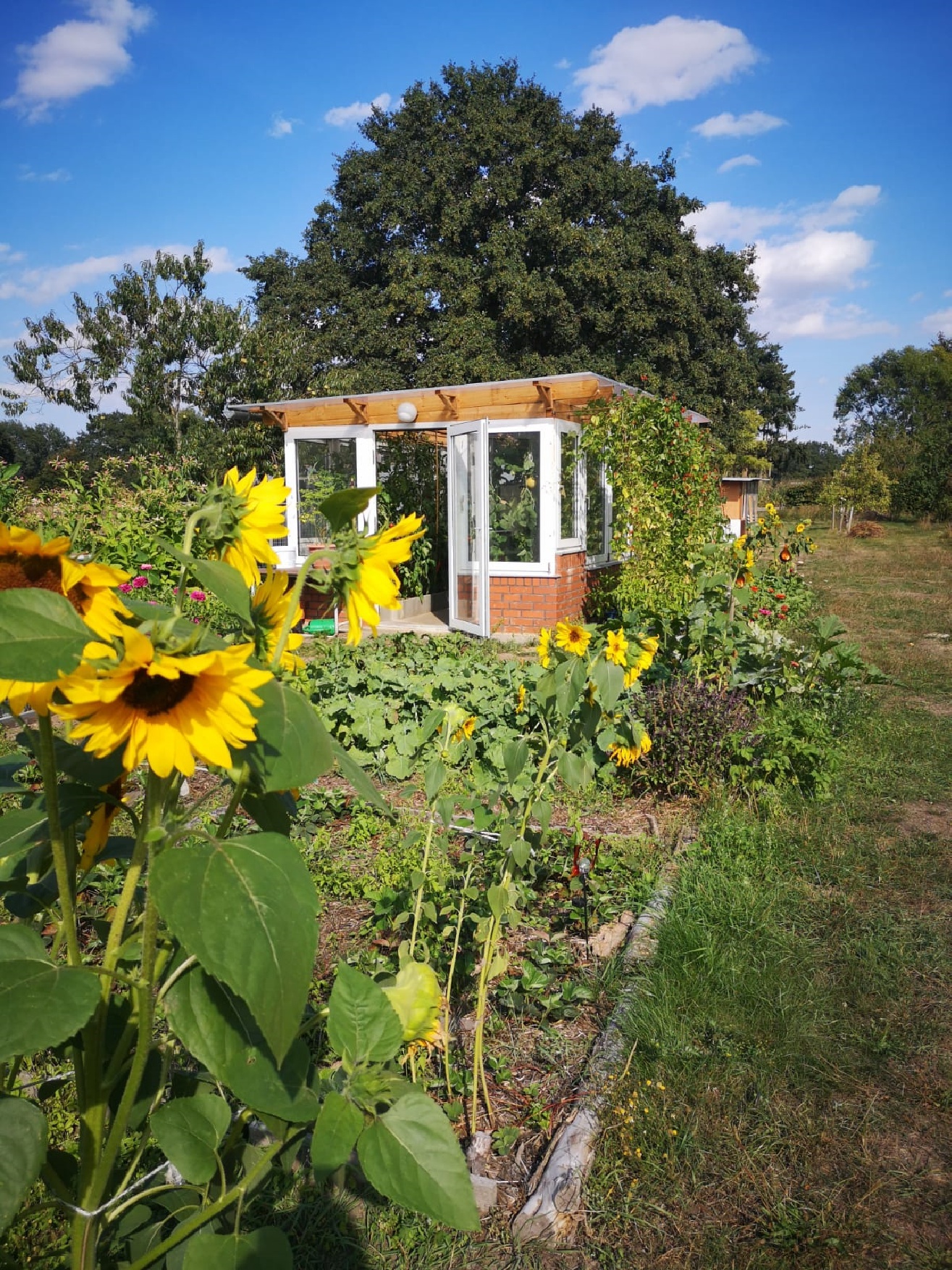 Monteurzimmer: Selbstversorger Gartenoase - Fewozie