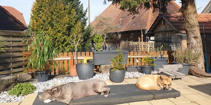 Monteurwohnung - Zimmertyp: Mehrbettzimmer - Bettenhausen - Unsere Hunde - Guesthouse Claudia