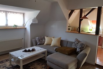 Monteurzimmer: Wohnbereich mit Schlafmöglichkeit, TV, Aufbettung möglich - Waldmeister
