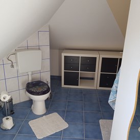 Monteurzimmer: Bad mit Dusche, WC, Waschbecken - Waldmeister