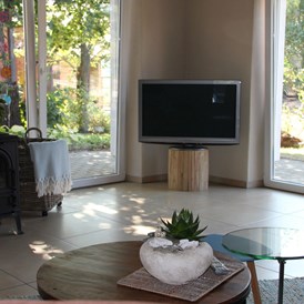 Monteurzimmer: Fernseher und Kamin im geräumigen Wohnzimmer mit Blick in den Garten - Ferienhaus "NaturPur"