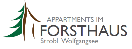 Monteurwohnung - Küche: eigene Küche - Sbg. Salzkammergut - Appartements im Forsthaus