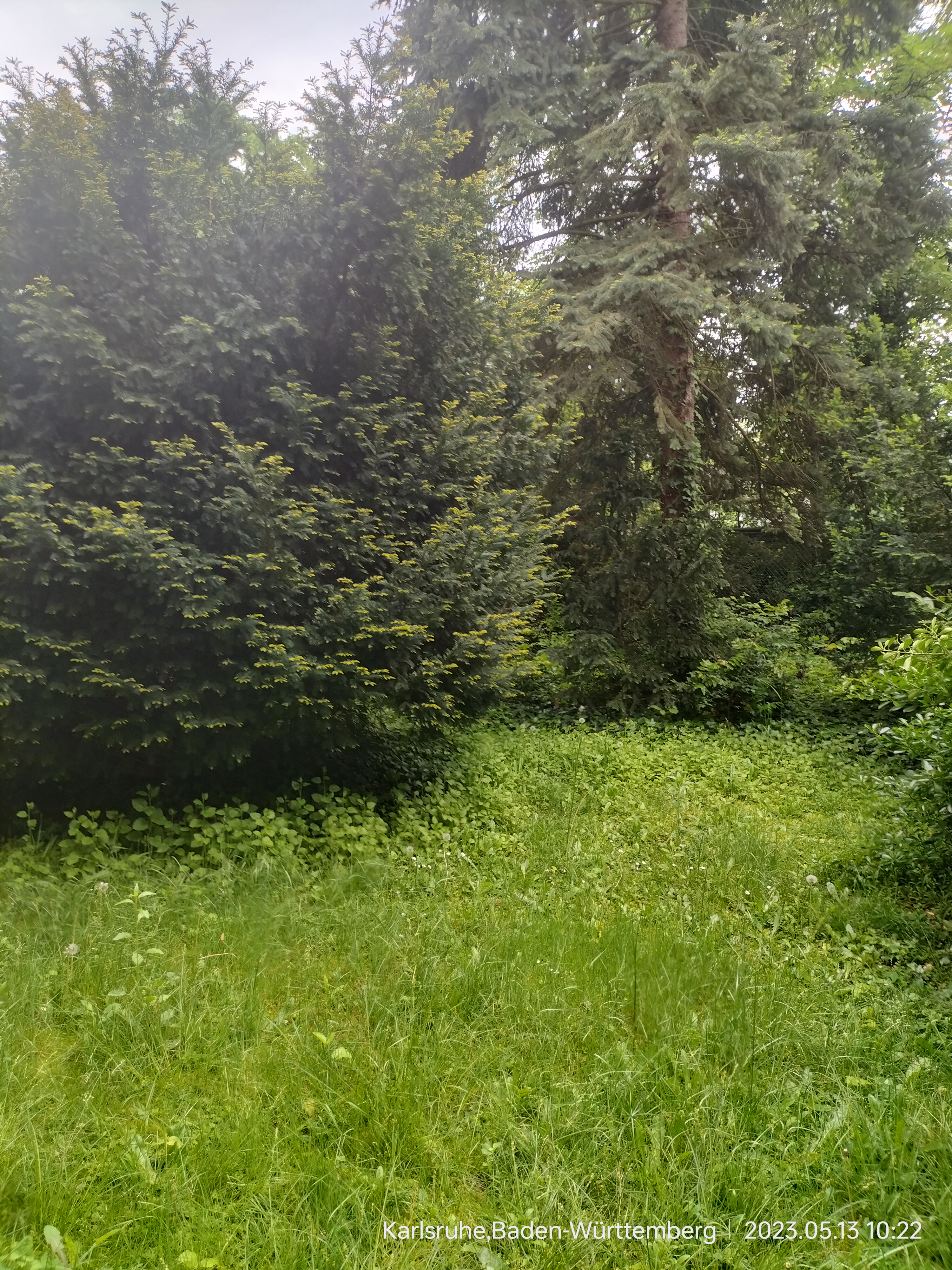 Monteurzimmer: Monteurbetten Karlsruhe