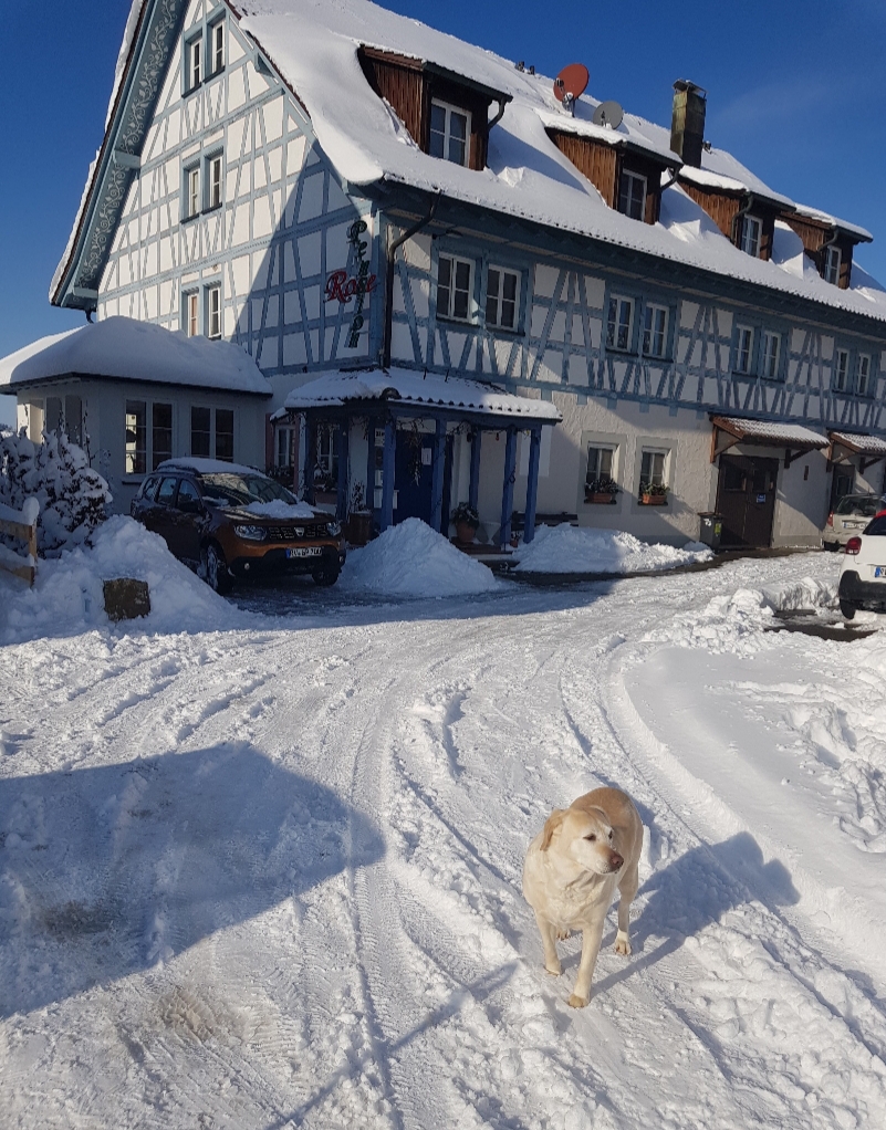 Monteurzimmer: Pension Rose Monteurzimmer mit Küche