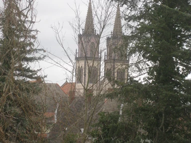 Monteurzimmer: Wohnung mit St. Aegidienblick - St. Aegidienblick