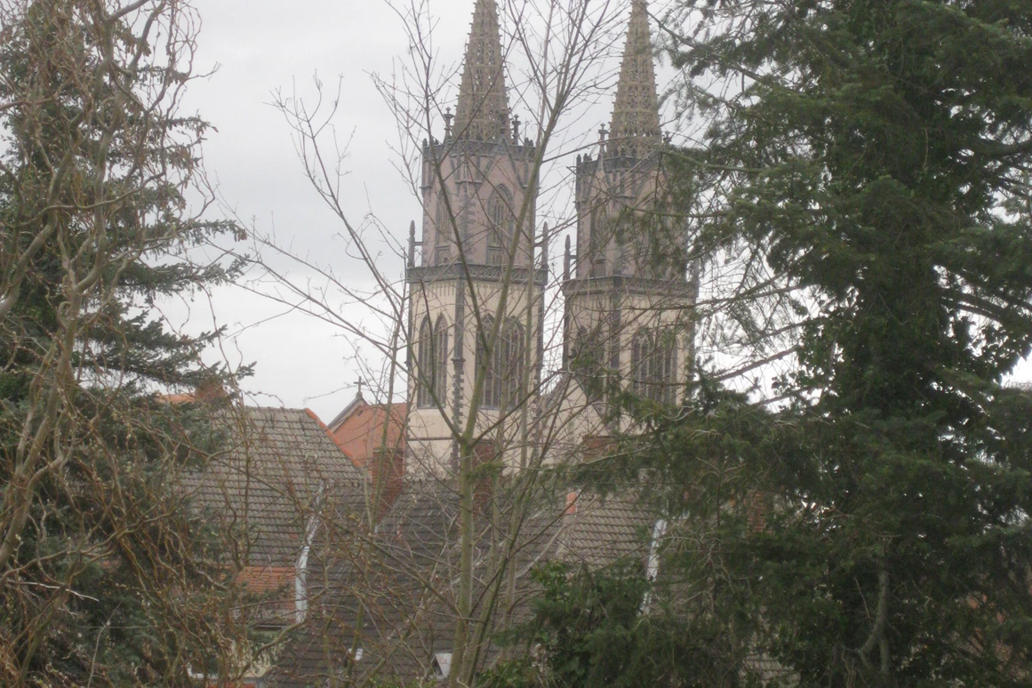 Monteurzimmer: Wohnung mit St. Aegidienblick - St. Aegidienblick