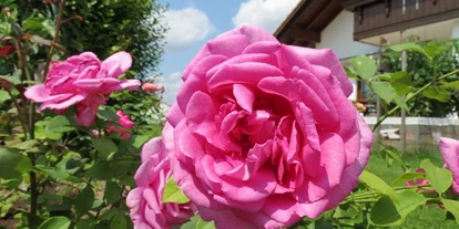 Monteurwohnung - PLZ 85104 (Deutschland) - Herzlich willkommen bei Familie Liebl im Altmühltal - Ferienwohnungen Liebl im Altmühltal