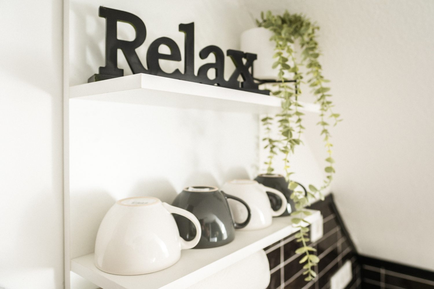 Monteurwohnung - Zimmertyp: Mehrbettzimmer - Nordrhein-Westfalen - HomeRent in Kleve und Bedburg-Hau